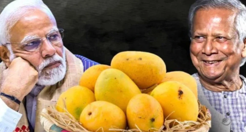 মোদিকে আম পাঠাচ্ছেন প্রধান উপদেষ্টা